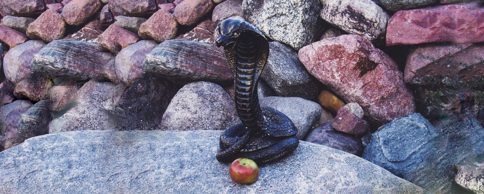 dreams along the way Apple-and-Talking-Snake-dreams